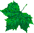 leaf1.gif (1255 bytes)